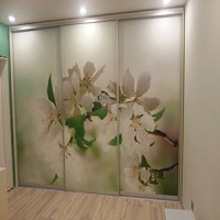 Шкаф с фотопечатью