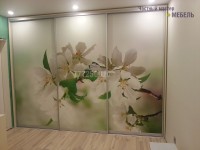 Шкаф с фотопечатью